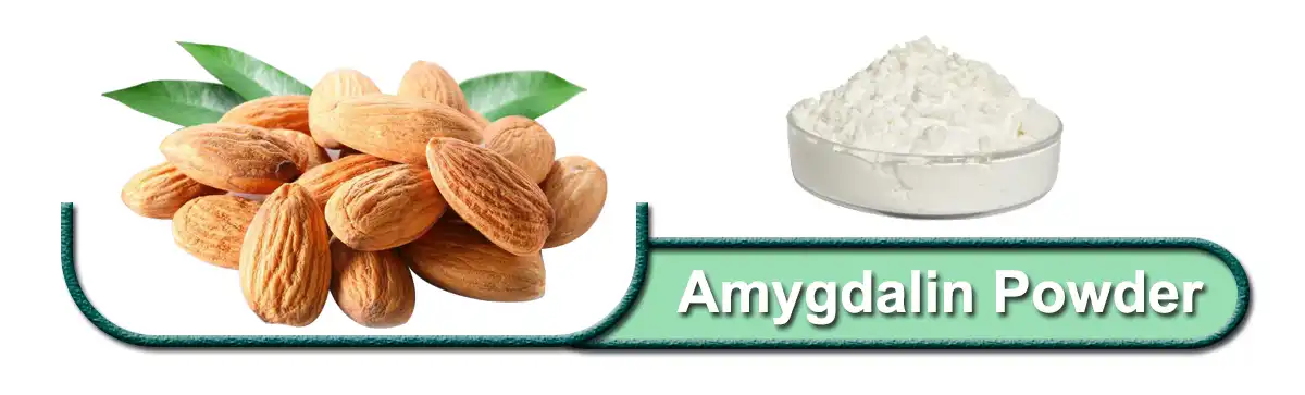 Amygdalin .jpg
